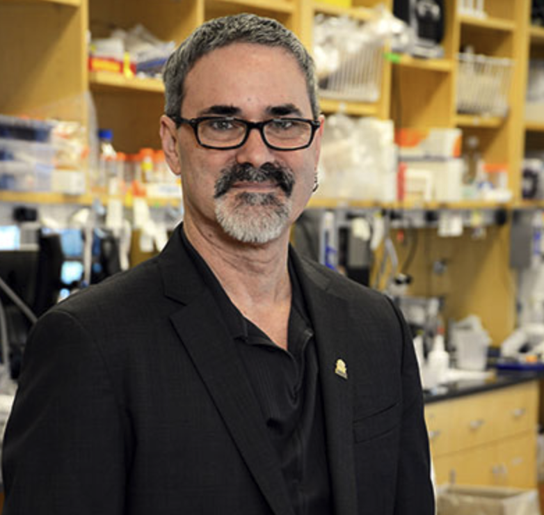Owen White, PhD